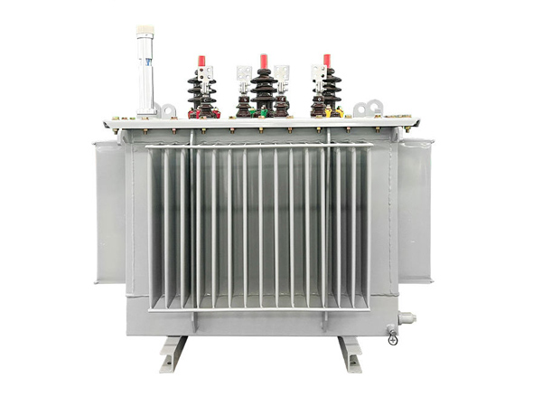 S20 oil-immersed transformer